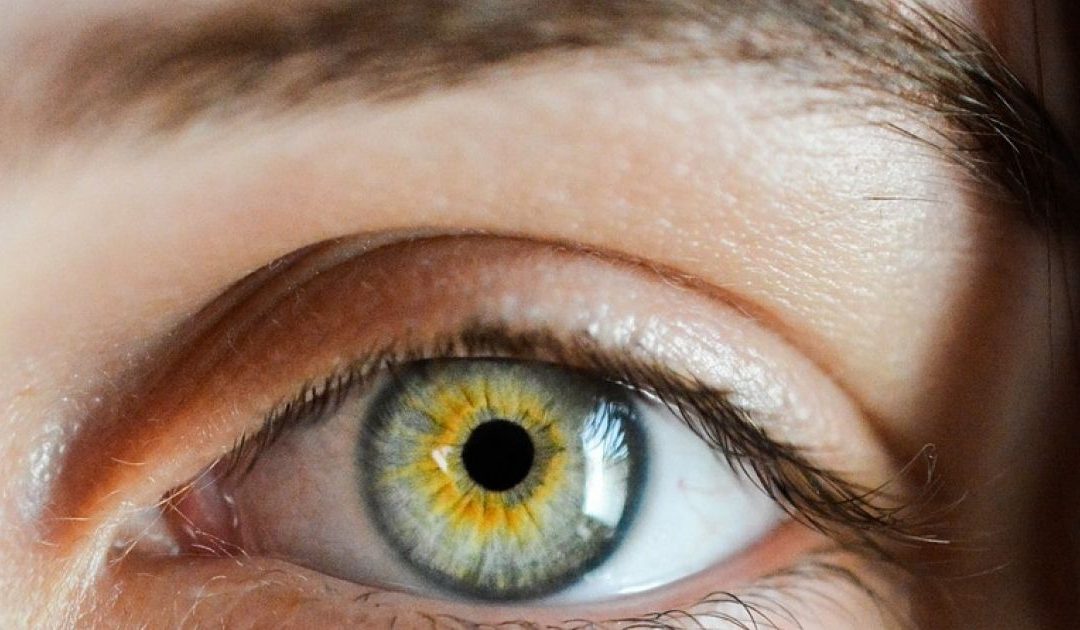 Comprendre la myodésopsie (mouche devant les yeux) : causes, symptômes et prise en charge