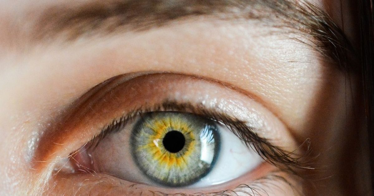 mouche devant les yeux